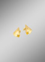 Interessante oorbellen met echte citrien 