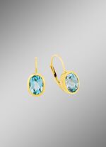 Charmante oorbellen met blauwe toasjes 