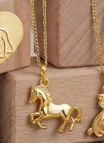 Gouden paardenhanger 
