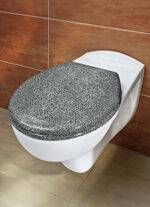 Wc-bril met automatische sluiting 