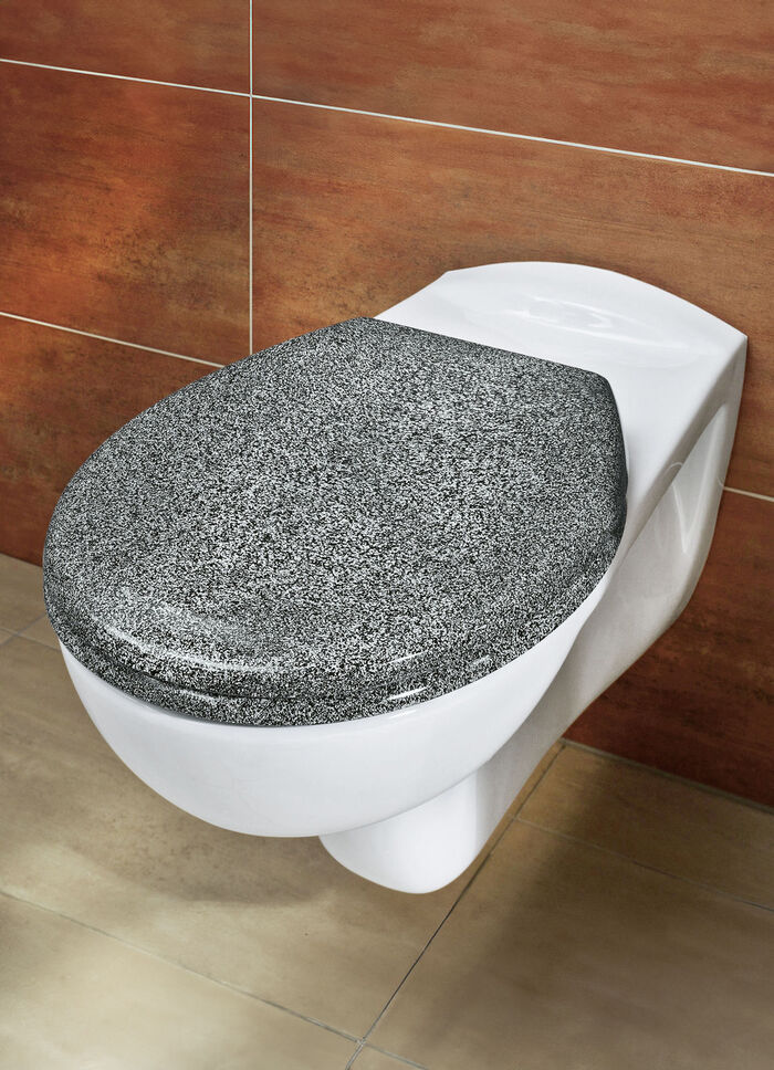 Wc-bril met automatische sluiting 