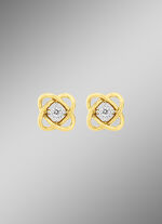 Fantastische oorknopjes 