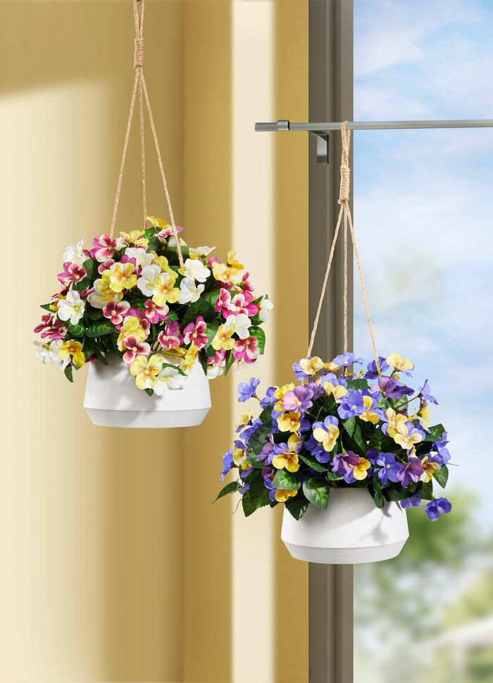 Viooltjes in hangmand GEEL-PAARS