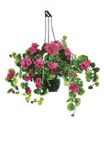 Geranium hangpot met bedrieglijk echt lijkende geraniums ROZE
