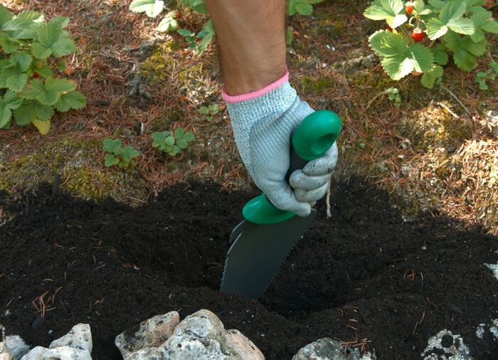 Multifunctionele schopwortelgraafmachine 