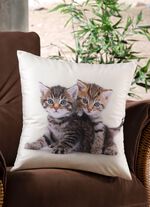 Kussenhoes met kittens in fluweellook 