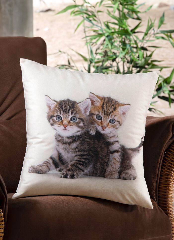 Kussenhoes met kittens in fluweellook 