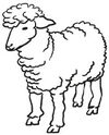 BADERnl_NL1Logo_Lamm