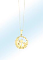 Opengewerkte, ronde sterrenbeeldhangers 