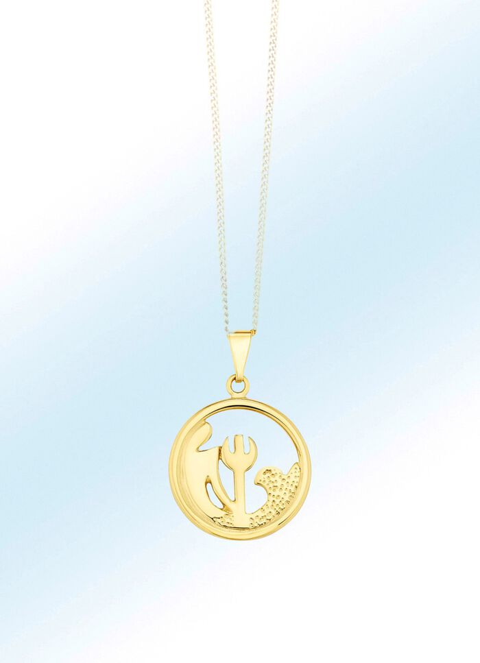 Opengewerkte, ronde sterrenbeeldhangers 