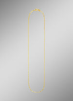 Fijne ketting 