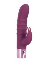 Waterdichte vibrator met clitorisstimulator 