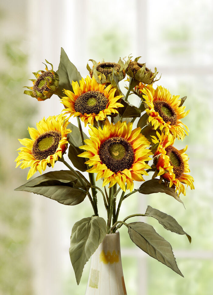 Zonnebloemtak 
