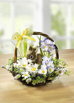 Wilgenmandjes met haasjes