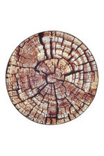 Tapijt in een natuurlijk boomstamdessin BRAUN