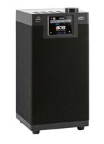 Multifunctionele radio ZWART