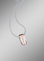 Kettinghanger met synth. zirkonia en pantserketting 