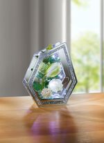 Verlicht glas decoratie 