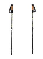 Wandelstokken, set van 2, incl. wandelstokken 5 essays 