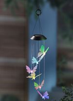 Zonne-windgong vlinder 