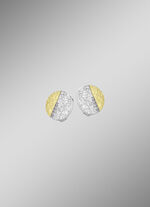 Hoogwaardige oorclips 