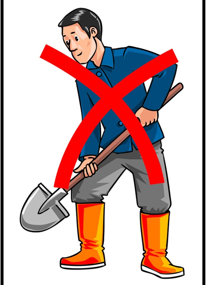 Wortelweg-granulaat van Maximex 