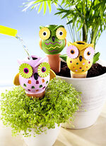 Wateruilen set van 6 