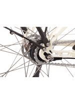 E-bike Comfort Plus 5.0 van Saxonette 