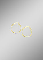 Mooie diamanten oorringen 