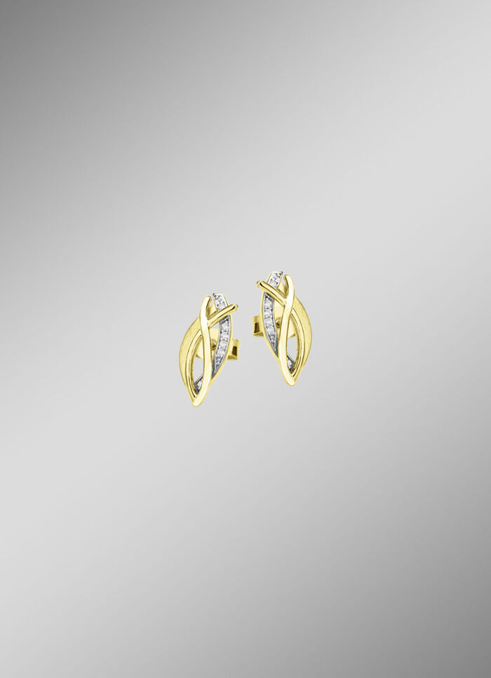Elegante oorbellen 