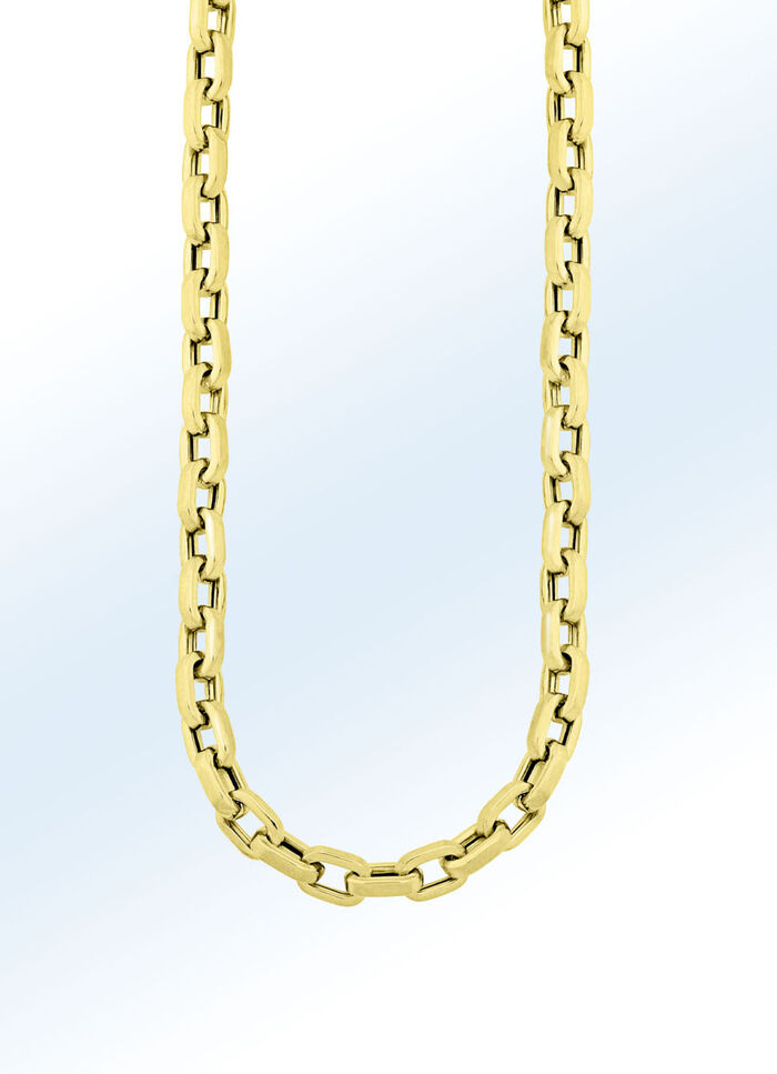 Vierkante gouden ankerketting 