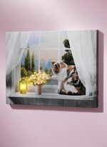 Led-schilderij met kat 