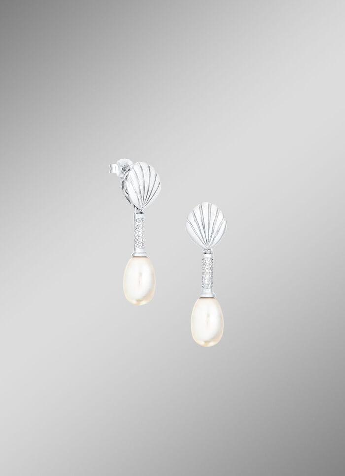 Druppelvormige schelpoorbellen 