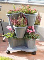 Plantentoren "Trifoglio", grijs 