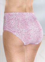 Verpakking met vier slips met roofdierdessin 