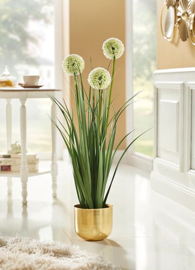Allium arrangement in een pot 