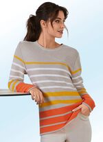 Trui met strepen in fijn biezendessin 