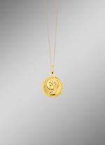 Glanzende kettinghanger 