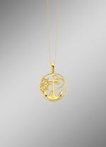 Modern aanhangeranker en stuurwiel 