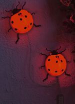 Lieveheersbeestje op zonne-energie, set van 2 