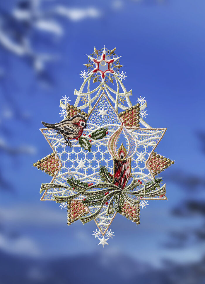 Raamfoto ster met vogel van Plauener Spitze