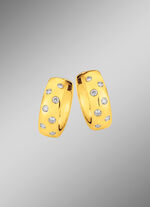 Fantastisch mooie oorringen met diamanten 