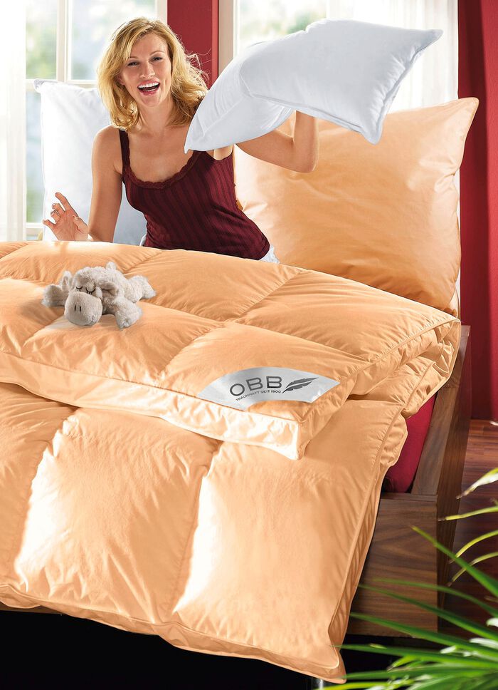 Donsbeddenprogramma van OBB 