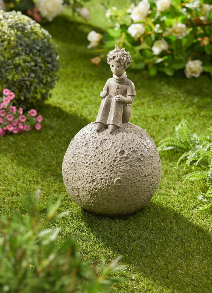 De Kleine Prins op de maanbol 