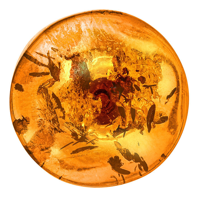 Unieke artikelen: Oorknopjes met echte, cognackleurige amber