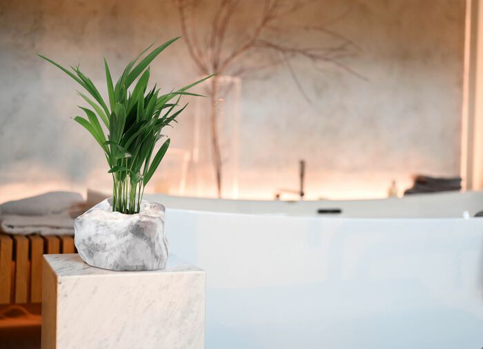 Plantenpot van Botanyia in een elegante natuursteenlook 