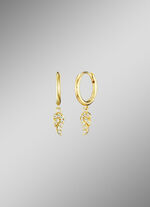 Oorringen met fonkelende vleugels 