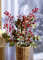 Ilex bessentakken, set van 2 
