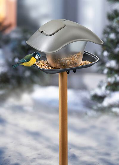 Vierkante voerbak van weerbestendig kunststof 