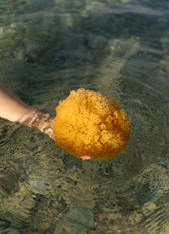Badspons van natuurlijk materiaal 